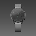 40mm / Mesh Metal / Silver